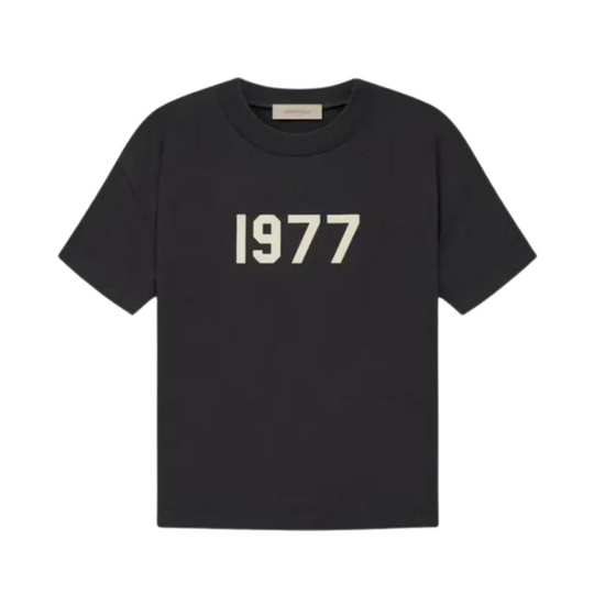 Essentials T-Shirt 'Iron'